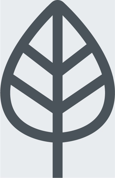 image 1.jpg