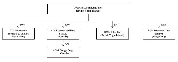 AGM GROUP HOLDINGS, INC. logo